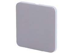 Ajax Ajax 52150.144.GR Tasto singolo per LightSwitch 2-gang Grigio
